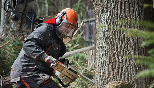online chainsaw safety use training safety worksafebc bc vancouver burnaby delta surrey victoria langley richmond nanaimo kamloops kelowna